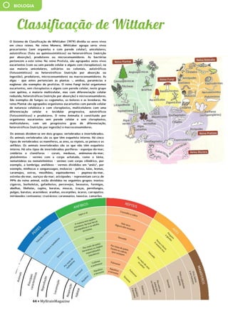 44 • MyBrainMagazine
BIOLOGIA
O Sistema de Classificação de Whittaker (1979) dividiu os seres vivos
em cinco reinos. No reino Monera, Whittaker agrupa seres vivos
procariontes (sem organelos e com parede celular), unicelulares,
autotróficos (foto ou quimiossintéticos) ou heterotróficos (nutrição
por absorção), produtores ou microconsumidores. As bactérias
pertencem a este reino. No reino Protista, são agrupados seres vivos
eucariontes (com ou sem parede celular e alguns com cloroplastos), na
sua maioria unicelulares, solitários ou coloniais, autotróficos
(fotossintéticos) ou heterotróficos (nutrição por absorção ou
ingestão), produtores, microconsumidores ou macroconsumidores. As
algas - que antes pertenciam às plantas -, amibas, paramécias e
euglenas são exemplos de protistas. O reino Fungi inclui organismos
eucariontes, sem cloroplastos e alguns com parede celular, neste grupo
com quitina, a maioria multicelular, mas com diferenciação celular
reduzida, heterotróficos (nutrição por absorção) e microconsumidores.
São exemplos de fungos os cogumelos, os bolores e as leveduras. No
reino Plantæ são agrupados organismos eucariontes com parede celular
de natureza celulósica e com cloroplastos, multicelulares com uma
diferenciação celular e tecidular progressiva, autotróficos
(fotossintéticos) e produtores. O reino Animalia é constituído por
organismos eucariontes sem parede celular e sem cloroplastos,
multicelulares, com um progressivo grau de diferenciação,
heterotróficos (nutrição por ingestão) e macroconsumidores.
Os animais dividem-se em dois grupos: vertebrados e invertebrados. Os
animais vertebrados são os que têm esqueleto interno. Há cinco tipos
de vertebrados: os mamíferos, as aves, os répteis, os peixes e os
anfíbios. Os animais invertebrados são os que não têm esqueleto
interno. Há oito tipos de invertebrados: poríferos - esponjas-do-mar;
cnidários e ctenóforos - corais, medusas, anémonas-do-mar;
platelmintos - vermes com o corpo achatado, como a ténia;
nematódeos ou nematelmintos - vermes com corpo cilíndrico, por
exemplo, a lombriga; anelídeos - vermes divididos em "anéis", por
exemplo, minhocas e sanguessugas; moluscos - polvos, lulas, lesmas,
caramujos, ostras, mexilhões; equinodermes - pepinos-do-mar, estrelas-
do-mar, ouriços-do-mar; artrópodes - representam cerca de 99% do
reino animal, estão divididos no seguintes grupos: insetos: cigarras,
borboletas, gafanhotos, percevejos, besouros, formigas, abelhas,
libélulas, cupins, baratas, moscas, traças, pernilongos, pulgas, baratas;
aracnídeos: aranhas, escorpiões, ácaros, carrapatos; miriápodes:
centopeias; crustáceos: caranguejos, lagostas, camarões.
influência dos partidos comunistas devido às dificuldades do pós-
guerra. O presidente Truman, alarmado com a situação, tratou de
proclamarem as necessidades da América conter o avanço comunista
em todas as frentes (política de contenção), quer através de
intervenções militares quer de ajuda económica. A doutrina Truman
levou os EUA a proporem aos países europeus um plano de auxílio
financeiro, o Plano Marshall - destinado a promover a recuperação
económica e a estabilidade política, Aumentando o poder de compra
dos europeus ocidentais, beneficiando o próprio comércio americano.
Consolida-se assim o bloco ocidental, liderado pelos EUA. A reação
soviética não se fez esperar e em 1947 é criado o Kominform,
organismo que superintendia a ação dos partidos comunistas de todo
mundo, com sede em Moscovo, e, em 1949, em resposta ao plano
Marshall, a União Soviética instituiu o Comecon, a fim de incentivar a
cooperação económica com os novos estados comunistas. Consolida-se
assim o bloco de Leste, liderado pela URSS.
O
antagonismo dos dois blocos desencadeou um clima de
profunda tensão e de inúmeros conflitos. As duas superpotências nunca
ousaram confrontar-se diretamente, a razão da guerra ter demorado
quase meio século, por isso é que se chamou a este período Guerra Fria.
Cada superpotência procurava dispor de uma força cada vez mais
destruidora de modo a tornar-se superior à sua rival, o equilíbrio do
terror, que acabou por evitar a guerra.
A escalada militar centrou-se na corrida às armas nucleares e
na militarização dos dois blocos. Em 1949, os soviéticos conseguiram
pela primeira vez na bomba atómica, graças a um casal de espiões
Narval e beluga (parente mais
próximo), esqueleto de narval.
Os animais dividem-se em dois grupos: vertebrados e invertebrados.
Os animais vertebrados são os que têm esqueleto interno. Há cinco
tipos de vertebrados: os mamíferos, as aves, os répteis, os peixes e os
anfíbios. Os animais invertebrados são os que não têm esqueleto
interno. Há oito tipos de invertebrados: poríferos - esponjas-do-mar;
cnidários e ctenóforos - corais, medusas, anémonas-do-mar;
platelmintos - vermes com o corpo achatado, como a ténia;
nematódeos ou nematelmintos - vermes com corpo cilíndrico, por
exemplo, a lombriga; anelídeos - vermes divididos em "anéis", por
exemplo, minhocas e sanguessugas; moluscos - polvos, lulas, lesmas,
caramujos, ostras, mexilhões; equinodermes - pepinos-do-mar,
estrelas-do-mar, ouriços-do-mar; artrópodes - representam cerca de
99% do reino animal, estão divididos no seguintes grupos: insetos:
cigarras, borboletas, gafanhotos, percevejos, besouros, formigas,
abelhas, libélulas, cupins, baratas, moscas, traças, pernilongos,
pulgas, baratas; aracnídeos: aranhas, escorpiões, ácaros, carrapatos;
miriápodes: centopeias; crustáceos: caranguejos, lagostas, camarões.
influência dos partidos comunistas devido às dificuldades do pós-
guerra. O presidente Truman, alarmado com a situação, tratou de
proclamarem as necessidades da América conter o avanço comunista
em todas as frentes (política de contenção), quer através de
intervenções militares quer de ajuda económica. A doutrina Truman
levou os EUA a proporem aos países europeus um plano de auxílio
financeiro, o Plano Marshall - destinado a promover a recuperação
económica e a estabilidade política, Aumentando o poder de compra
dos europeus ocidentais, beneficiando o próprio comércio
americano. Consolida-se assim o bloco ocidental, liderado pelos EUA.
A reação soviética não se fez esperar e em 1947 é criado o
Kominform, organismo que superintendia a ação dos partidos
comunistas de todo mundo, com sede em Moscovo, e, em 1949, em
resposta ao plano Marshall, a União Soviética instituiu o Comecon, a
fim de incentivar a cooperação económica com os novos estados
comunistas. Consolida-se assim o bloco de Leste, liderado pela URSS.
O
antagonismo dos dois blocos desencadeou um clima de
profunda tensão e de inúmeros conflitos. As duas superpotências
nunca ousaram confrontar-se diretamente, a razão da guerra ter
demorado quase meio século, por isso é que se chamou a este
período Guerra Fria. Cada superpotência procurava dispor de uma
força cada vez mais destruidora de modo a tornar-se superior à sua
rival, o equilíbrio do terror, que acabou por evitar a guerra.
A escalada militar centrou-se na corrida às armas nucleares
e na militarização dos dois blocos. Em 1949, os soviéticos
conseguiram pela primeira vez na bomba atómica, graças a um casal
de espiões soviéticos, O casal Rosenberg, infiltrado nos EUA, ficando
 