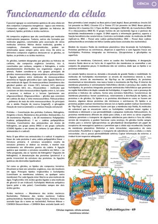 MyBrainMagazine • 69
CIÊNCIA
É possível agrupar os constituintes químicos de uma célula em
dois conjuntos: Compostos inorgânicos - água e sais minerais;
Compostos orgânicos - glícidos (glúcidos ou hidratos de
carbono), lípidos, prótidos e ácidos nucleicos.
Há compostos orgânicos que são constituídos por moléculas
relativamente pequenas. Todavia, outros são formados por
moléculas gigantes, constituídas pela associação de várias
moléculas unitárias. Muitas destas moléculas, grandes e
complexas, chamadas macromoléculas, podem ser
sintetizadas quase sempre pelos seres vivos. De entre os
diferentes compostos orgânicos destacam-se: os glícidos, os
lípidos, os prótidos e os ácidos nucleicos.
Os glícidos, também designados por glúcidos ou hidratos de
carbono, são compostos orgânicos ternários, isto é,
constituídos por carbono, oxigénio e hidrogénio, e estão
abundantemente distribuídos nos organismos vegetais e
animais. Podem considerar-se três grupos principais de
glícidos: monossacarídeos, oligossacarídeos e polissacarídeos.
A ligação química entre moléculas de monossacarídeos
denomina-se ligação glicosídica (por cada ligação liberta-se
uma molécula de água). Os monossacarídeos (monómeros dos
glícidos) podem ser: trioses (3C), tetroses (4C), pentoses
(5C), hexoses (6C), etc... Dissacarídeos – moléculas que
consistem em dois monossacarídeos ligados entre si, tal como
a sacarose, a maltose e a lactose (pertencem aos
oligossacarídeos). Oligossacarídeos – glícidos que consistem
em cadeias de duas a vinte monossacarídeos. Polissacarídeos
– polímeros de mais de vinte monossacarídeos. Os principais
são o amido (função de reserva [vegetal]), o glicogénio
(função de reserva [animal]) e a celulose (função estrutural)
Prótidos — Constituição dos prótidos: Carbono, Hidrogénio,
Oxigénio e Azoto. Monómeros dos prótidos: Aminoácidos. 2 a
20 monómeros: Péptidos. + de 20 monómeros: Polipéptidos
(cadeias polipeptídicas). 1 ou + cadeias polipeptídicas:
Proteínas. Constituintes dos aminoácidos: um átomo de
hidrogénio, um grupo amina (NH2) e um grupo carboxilo
(COOH) ligados a um átomo de carbono (o que difere nos
aminoácidos é o radical).
Nota: O que difere nos aminoácidos é o radical. A sequência
linear de cada proteína é uma cadeia polipeptídica linear –
Estrutura primária. A estrutura secundária resulta da
estrutura primária se dobrar ou enrolar, e manter esse
enrolamento em diferentes pontos da cadeia. A ligação
química que mantém a estrutura secundária em Hélice α ou
folha pregueada, são as “pontes de hidrogénio” (ligações de
hidrogénio). A desnaturação das proteínas (proteica) é a
perda irreversível da estrutura das proteínas. As ligações
químicas são destruídas (quebradas).
Tal como os glícidos, os lípidos são compostos ternários.
Dissolvem-se bem em solventes orgânicos, mas são insolúveis
em água. Principais lípidos: triglicerídios e fosfolípidos
(constituem as membranas celulares, ou qualquer outra
membrana). Por cada ligação éster liberta-se uma molécula de
água. Triglicerídio: três ácidos gordos ligados a uma molécula
de glicerol (é um triálcool). Fosfolípido: Molécula anfipática
(parte polar e não polar). Constituídos sempre dor dois
ácidos gordos.
Ácidos nucleicos — Monómeros dos ácidos nucleicos:
Nucleótidos. Polímeros dos ácidos nucleicos: Cadeias
polinucleotídicas. Nucleótido: Grupo fosfato, Pentose e Base
azotada (que da o nome ao nucleótido). Pentose: Ribose =
C5H10O5 Desoxirribose = C5H10O4 Base azotada (pode ser):
Base pirimídica (anel simples) ou Base púrica (anel duplo).
Bases pirimídicas: Uracilo (U) (só presente no RNA), Citosina
(C) e Timina (T) (só presente no DNA). Bases púricas: Adenina
(A) e Guanina (G). 3 Tipos de RNA: mensageiro (RNA M), de
transferência (RNA T) e ribossomático (RNA R). O grupo
fosfato de um nucleótido liga-se à pentose do nucleótido
imediatamente a seguir. O DNA suporta a informação
Células vegetais, célula animal,
membrana celular.
Base pirimídica (anel simples) ou Base púrica (anel duplo). Bases pirimídicas: Uracilo (U)
(só presente no RNA), Citosina (C) e Timina (T) (só presente no DNA). Bases púricas:
Adenina (A) e Guanina (G). 3 Tipos de RNA: mensageiro (RNA M), de transferência (RNA
T) e ribossomático (RNA R). O grupo fosfato de um nucleótido liga-se à pentose do
nucleótido imediatamente a seguir. O DNA suporta a informação genética, suporta a
função hereditária das caraterísticas. Controla a actividade celular. As moléculas de DNA
replicam-se. RNA – Possui uma cadeia polinucleotídica. DNA – Possui duas cadeias
polinucleotídicas enroladas em hélice (unidas pelas bases azotadas dos nucleótidos).
Modelo do mosaico fluido da membrana plasmática: Uma bicamada de fosfolípidos;
Proteínas periféricas ou extrínsecas, dispersas à superfície e com ligações fracas aos
fosfolípidos; Proteínas integradas ou intrínsecas; Glicoproteínas e glicolípidos na
superfície
exterior da membrana; Colesterol, entre as caudas dos fosfolípidos. A designação
mosaico fluido deve-se ao facto de: A superfície das membranas se assemelhar a um
conjunto de pequenas peças; A membrana não ser estática, dado que os lípidos e as
proteínas embebidas
na camada lipídica movem-se, dotando a bicamada de grande fluidez e mobilidade: As
moléculas de fosfolípidos movimentam- se através de movimentos laterais e, mais
raramente, através de movimentos de flip-flop ou de cambalhota; As proteínas
movimentam-se lateralmente, mas nunca fazem o movimento de flip-flop. O interior da
membrana plasmática é extremamente hidrofóbico devido à presença das caudas dos
fosfolípidos; As proteínas integradas possuem aminoácidos hidrofóbicos que penetram
na região hidrofóbica da dupla camada de fosfolípidos; A superfície, com a presença de
proteínas e hidratos de carbono, forma uma estrutura hidrofílica. Caraterísticas da
membrana plasmática: Serem assimétricas, relativamente à distribuição de lípidos, de
proteínas e de glícidos; Os lípidos e as proteínas distribuem-se como se fossem um
mosaico, algumas dessas proteínas são intrínsecas e extrínsecas; Os lípidos e as
proteínas podem realizar movimentos laterais (só os lípidos podem realizar movimentos
de “flip-flop”), estes movimentos fazem com que a membrana seja fluída; As moléculas
de colesterol que se encontram entre os fosfolípidos conferem maior rigidez à
membrana e diminuem a sua permeabilidade a pequenas moléculas hidrossolúveis; As
proteínas membranares diferem de célula para célula, e até entre os vários organitos
celulares permitem o transporte de algumas substâncias para dentro e fora da célula,
servem de receptores, e podem funcionar como enzimas; Os glícidos (estão sempre
virados para o exterior [glicoproteínas ou glicolípidos]) desempenham um papel de
receptores de mensageiros químicos e permitem que a célula seja reconhecida. Funções
da membrana plasmática: Delimitar o meio intracelular, separando-o do meio
extracelular; Possibilitar e regular o transporte de substâncias entre a célula e o meio
extracelular, isto é, possui permeabilidade seletiva; Captar informação do exterior, e
traduzi-la em respostas adequadas.
Os movimentos de substâncias através das membranas biológicas podem ser:
Osmose – É a deslocação da água do meio hipotónico, para o meio hipertónico. O
objetivo da osmose é equilibrar as concentrações dos dois meios. A variação entre meios
com diferentes concentrações chama-se gradiente de concentrações. Meio hipotónico –
O volume aumenta (a célula está túrgida – Turgescência). O volume aumenta devido à
entrada de água. Meio hipertónico – O volume diminui e a superfície fica enrugada (a
célula está plasmolisada – Plasmólise). O volume diminui devido à saída de água. Meio
isotónico – O número de moléculas (ou outra coisa) que entra na célula (ou seja onde
for), é o mesmo que sai. O transporte nunca pára. Membrana semipermeável – É
permeável à água e impermeável aos solutos. A pressão osmótica é a força necessária
para impedir a osmose. Quando a membrana rebenta, diz-se que ocorreu a lise celular. O
conteúdo celular sai para o exterior. A célula está destruída (só ocorre nas células
animais).
Difusão simples – Transporte passivo, porque não implica gasto energético. As
moléculas deslocam-se sempre a favor do gradiente de concentração (do meio
hipertónico, para o meio hipotónico). É o transporte de soluto (moléculas por exemplo).
Difusão facilitada – É igualmente o transporte de soluto, mas com a ajuda de permeases
(proteínas transportadoras, são intrínsecas). Depende do gradiente das concentrações,
e da disponibilidade das permeases.
Transporte ativo – A célula despende energia, porque vai contra o gradiente de
concentração.
Para transportar macromoléculas até à célula recorre-se a:
Exocitose – Quando a célula tem necessidade de se livrar de substâncias tóxicas
(resíduos metabólicos prejudiciais), ou resíduos da actividade celular, que vão ser
utilizadas fora da célula, ou vai expulsar resíduos da digestão intracelular.
 
