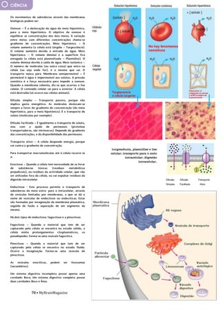 70 • MyBrainMagazine
CIÊNCIA
turgescência, plasmólise e lise
celular; transporte para o meio
intracelular; digestão
intracelular.
Os movimentos de substâncias através das membranas
biológicas podem ser:
Osmose – É a deslocação da água do meio hipotónico,
para o meio hipertónico. O objetivo da osmose é
equilibrar as concentrações dos dois meios. A variação
entre meios com diferentes concentrações chama-se
gradiente de concentrações. Meio hipotónico – O
volume aumenta (a célula está túrgida – Turgescência).
O volume aumenta devido à entrada de água. Meio
hipertónico – O volume diminui e a superfície fica
enrugada (a célula está plasmolisada – Plasmólise). O
volume diminui devido à saída de água. Meio isotónico –
O número de moléculas (ou outra coisa) que entra na
célula (ou seja onde for), é o mesmo que sai. O
transporte nunca pára. Membrana semipermeável – É
permeável à água e impermeável aos solutos. A pressão
osmótica é a força necessária para impedir a osmose.
Quando a membrana rebenta, diz-se que ocorreu a lise
celular. O conteúdo celular sai para o exterior. A célula
está destruída (só ocorre nas células animais).
Difusão simples – Transporte passivo, porque não
implica gasto energético. As moléculas deslocam-se
sempre a favor do gradiente de concentração (do meio
hipertónico, para o meio hipotónico). É o transporte de
soluto (moléculas por exemplo).
Difusão facilitada – É igualmente o transporte de soluto,
mas com a ajuda de permeases (proteínas
transportadoras, são intrínsecas). Depende do gradiente
das concentrações, e da disponibilidade das permeases.
Transporte ativo – A célula despende energia, porque
vai contra o gradiente de concentração.
Para transportar macromoléculas até à célula recorre-se
a:
Exocitose – Quando a célula tem necessidade de se livrar
de substâncias tóxicas (resíduos metabólicos
prejudiciais), ou resíduos da actividade celular, que vão
ser utilizadas fora da célula, ou vai expulsar resíduos da
digestão intracelular.
Endocitose - Este processo permite o transporte de
substâncias do meio extra- para o intracelular, através
de vesículas limitadas por membranas, a que se dá o
nome de vesículas de endocitose ou endocíticas. Estas
são formadas por invaginação da membrana plasmática,
seguida de fusão e separação de um segmento da
mesma.
Há dois tipos de endocitose: fagocitose e a pinocitose.
Fagocitose – Quando o material que tem de ser
capturado pela célula se encontra no estado sólido, a
célula emite prolongamentos citoplasmáticos, os
pseudópodes. Forma-se uma vesícula fagocítica.
Pinocitose – Quando o material que tem de ser
capturado pela célula se encontra no estado fluído.
Ocorre a invaginação. Forma-se uma vesícula de
pinocitose.
As vesículas exocíticas, podem ser lisossomas
(secundários).
Um sistema digestivo incompleto possui apenas uma
cavidade: Boca; Um sistema digestivo completo possui
duas cavidades: Boca e Ânus.
 