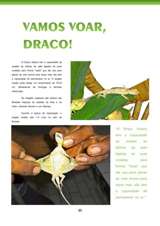 23
O Draco Volans tem a capacidade de
ampliar as dobras da pele ligadas às suas
costelas para formar "asas" que ele usa para
planar de uma árvore para baixo mas não tem
a capacidade de permanecer no ar. O dragão
voador pode atingir um comprimento de 19-23
cm. Alimenta-se de formigas e térmitas
arborícolas.
Os dragões voadores são nativos das
florestas tropicais do sudeste da Ásia e na
Índia, incluíndo Bornéu e as Filipinas.
Durante a época de reprodução, o
dragão voador põe 1-4 ovos no solo da
floresta.
 