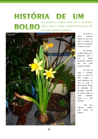 25
No inverno, a
planta sobrevive
debaixo da terra num
bolbo. A energia do
bolbo fica normalmente
na forma de amido.
Na primavera,
a planta deteta que a
temperatura sobe e
com a energia
armazenada produz-se
raiz que pode
acumular humidade.
No início do
verão, a humidade
ajuda os botões da
folha a dilatar e o
caule estende-se. No
meio do verão, a
planta floresce. Depois
da polinização, são
produzidas sementes.
No final do verão, as
partes exteriores
secam e o ciclo
recomeça.
Este ciclo,
nalgumas plantas,
pode ocorrer ao
contrário.
I
 