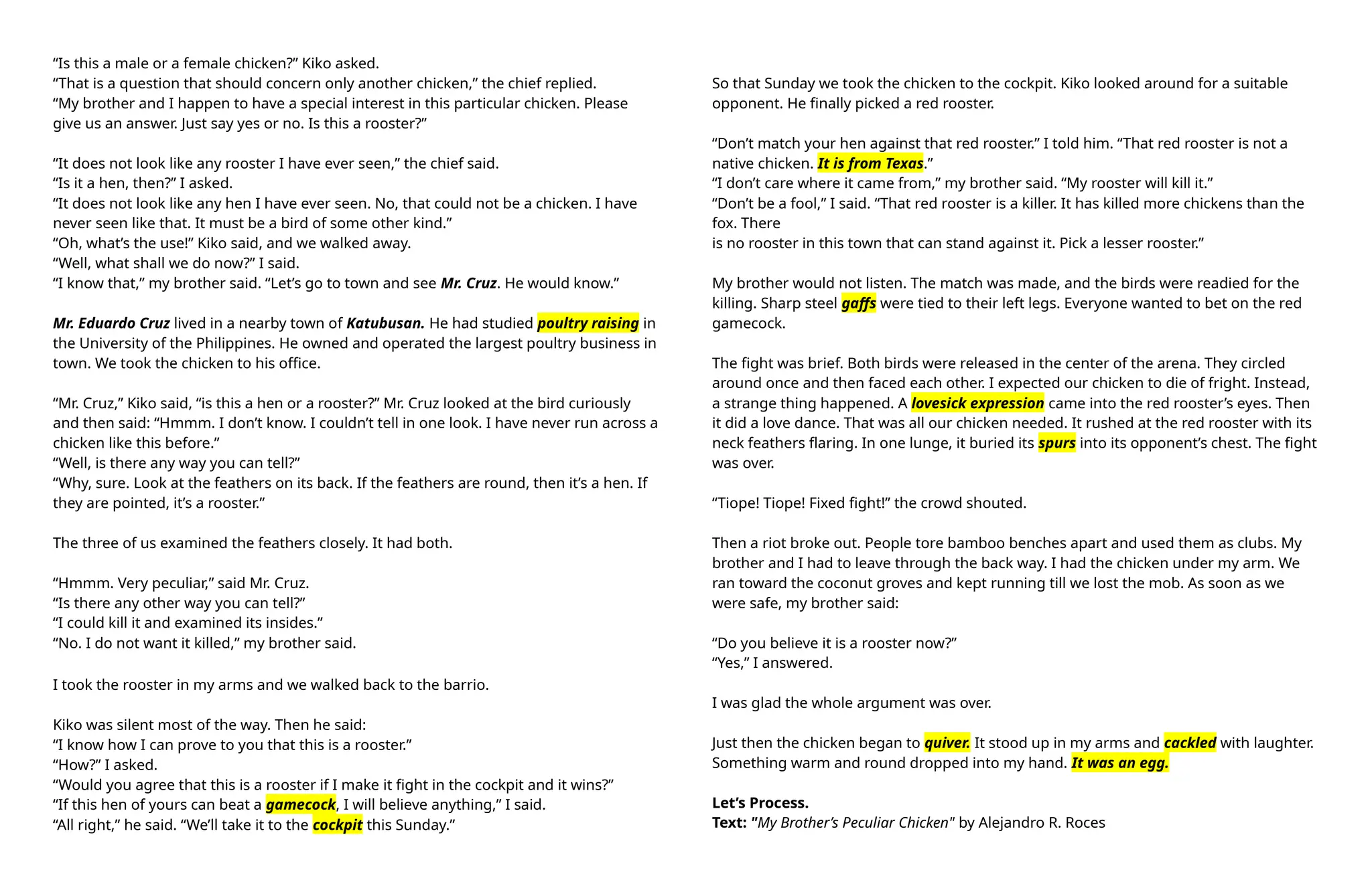 MY BROTHERS PECULIAR CHICKEN sTORY AND ACTIVITY | DOCX