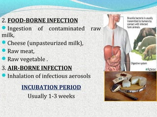 2. FOOD-BORNE INFECTION 
Ingestion of contaminated raw 
milk, 
Cheese (unpasteurized milk), 
Raw meat, 
Raw vegetable . 
3. AIR-BORNE INFECTION 
Inhalation of infectious aerosols 
INCUBATION PERIOD 
Usually 1-3 weeks 
 