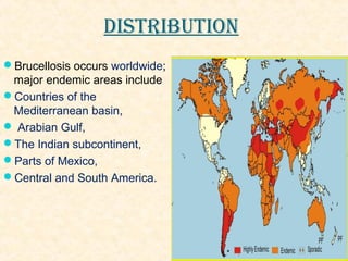 DISTRIBUTION 
Brucellosis occurs worldwide; 
major endemic areas include 
Countries of the 
Mediterranean basin, 
 Arabian Gulf, 
The Indian subcontinent, 
Parts of Mexico, 
Central and South America. 
 