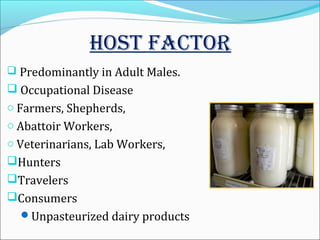 HOST FACTOR 
 Predominantly in Adult Males. 
 Occupational Disease 
o Farmers, Shepherds, 
o Abattoir Workers, 
o Veterinarians, Lab Workers, 
Hunters 
Travelers 
Consumers 
Unpasteurized dairy products 
 