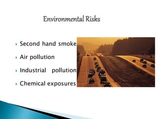  Second hand smoke
 Air pollution
 Industrial pollution
 Chemical exposures
 