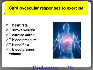 CCardiovascular responses to exerciseardiovascular responses to exercise
∀ ↑ heart rate
∀ ↑ stroke volume
∀ ↑ cardiac output
∀ ↑ blood pressure
∀ ↑ blood flow
∀ ↓ blood plasma
volume
10Cardiovasc
 