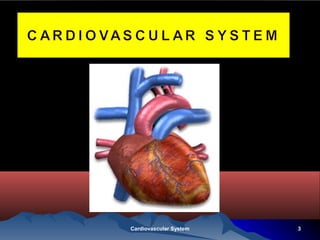 3Cardiovascular System
 
