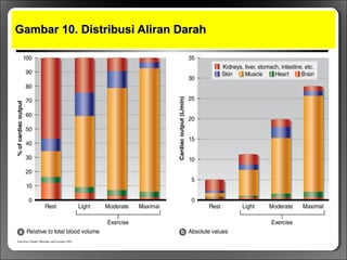 Gambar 10. Distribusi Aliran DarahGambar 10. Distribusi Aliran Darah
 