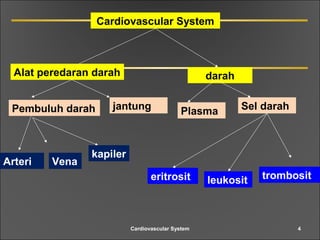 Cardiovascular System
Alat peredaran darah darah
jantungPembuluh darah Plasma Sel darah
eritrosit leukosit trombosit
Arteri Vena
kapiler
4Cardiovascular System
 