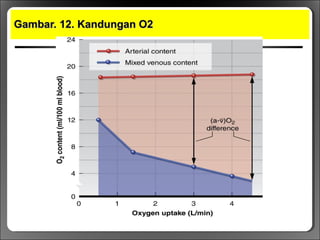 Gambar. 12. Kandungan O2Gambar. 12. Kandungan O2
 
