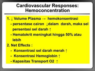 Cardiovascular Responses:Cardiovascular Responses:
HemoconcentrationHemoconcentration
1. ↓ Volume Plasma → hemokonsentrasi
- persentase cairan ↓dalam darah, maka sel
persentasi sel darah ↑
- Hematokrit meningkat hingga 50% atau
lebih
2. Net Effects :
- Konsentrasi sel darah merah ↑
- Konsentrasi Hemoglobin ↑
- Kapasitas Transport O2 ↑
 