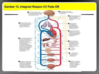 Gambar 13. Integrasi Respon CV Pada ORGambar 13. Integrasi Respon CV Pada OR
 