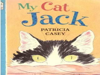 My cat jack tale