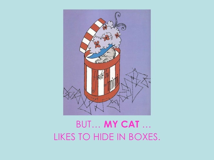 My cat likes to hide in boxes