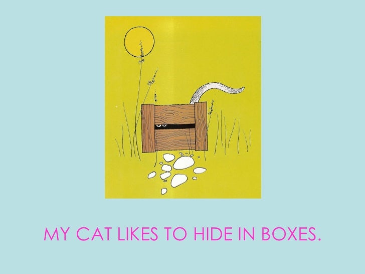 pictures in boxes