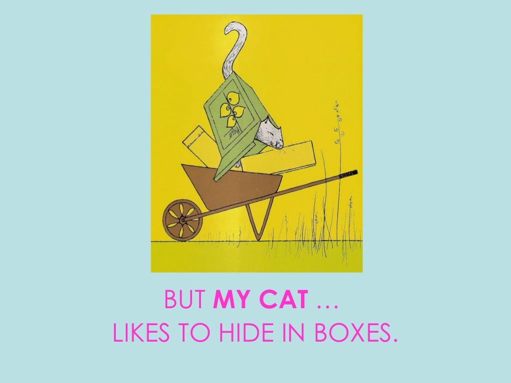 My cat likes to hide in boxes