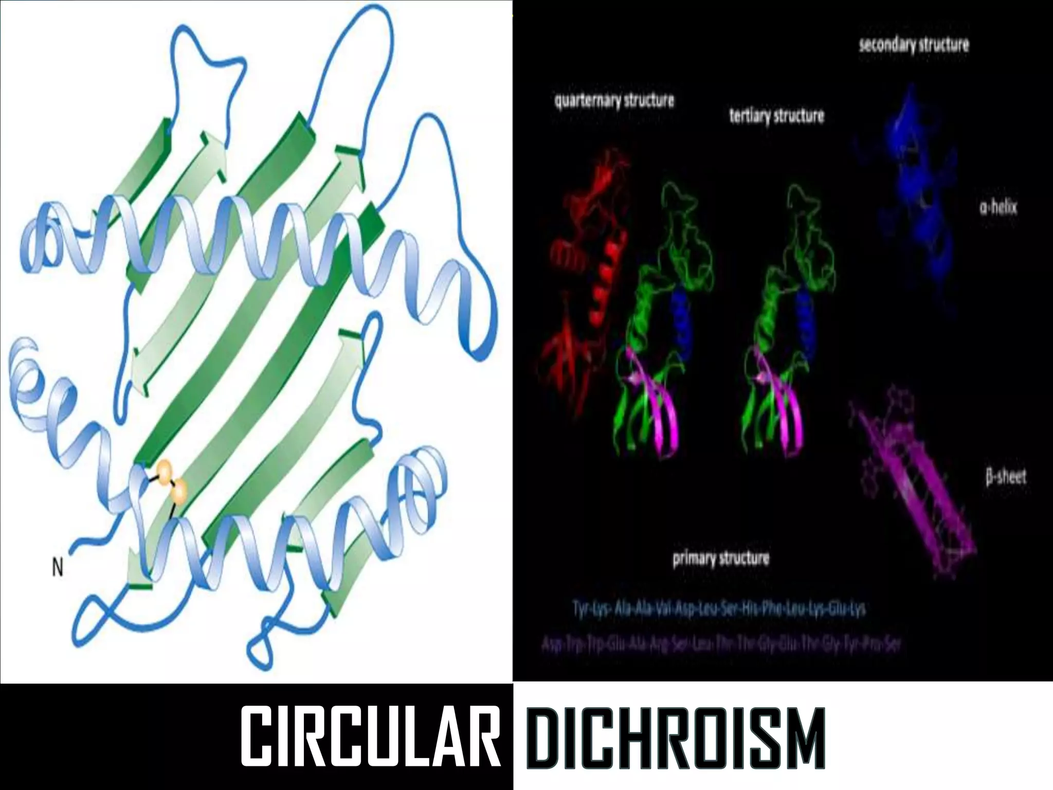 Circular Dichroism ppt, PPT