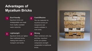 Advantages of
Mycelium Bricks
1 Eco-Friendly
Mycelium bricks are
biodegradable and made
from readily available
waste materials.
2 Cost-Effective
The raw materials for
mycelium bricks are
inexpensive and
readily available in
rural areas.
3 Lightweight
Mycelium bricks are lighter
than traditional bricks,
making them easier to
transport and handle.
4 Strong
When combined with clay
and lime, mycelium
bricks can achieve
compressive strength
comparable to traditional
bricks.
 