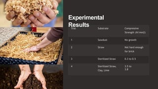 Experimental
Results
Trial Substrate Compressive
Strength (N/mm2)
1 Sawdust No growth
2 Straw Not hard enough
for brick
3 Sterilized Straw 0.3 to 0.5
4 Sterilized Straw,
Clay, Lime
3.5 to
3.8
 