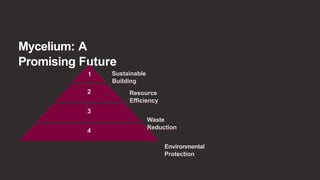 Mycelium: A
Promising Future
1
2
3
4
Sustainable
Building
Resource
Efficiency
Waste
Reduction
Environmental
Protection
 