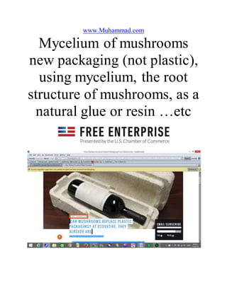 www.Muhammad.com
Mycelium of mushrooms
new packaging (not plastic),
using mycelium, the root
structure of mushrooms, as a
natural glue or resin …etc
 