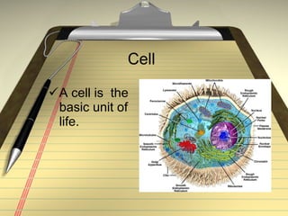 Cell  A cell is  the basic unit of life. 