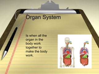 Organ System  Is when all the organ in the body work together to make the body work.  