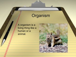 Organism A organism is a living thing like a human or a animal. 