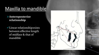 Maxilla to mandible
Anteroposterior
relationship
Linear relationshipexists
between effective length
of midface & that of
mandible
 