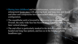 • During later childhood and into adolescence, vertical nasal
enlargement keeps pace with growing body and lung size, and dental
and other oral components have approached adult sizes and
configuration.
• The mandibular arch is lowered by increasing vertical ramus length.
Overall, the early wide face has become altered in proportion by the
later vertical changes.
• The end effect is particularly marked in the dolichocephalic long-
headed and long-face pattern, and less so in the brachycephalic
headform type.
 