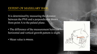 EXTENT OF MAXILLARY BASE:
It is determined by measuring the distance
between the PNS and a perpendicular drawn
from point A to the palatal plane.
• The difference of the measurement between
horizontal and vertical growth pattern is slight.
• Mean value is 44mm.
 