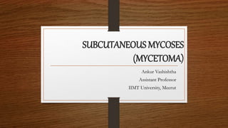 SUBCUTANEOUS MYCOSES
(MYCETOMA)
Ankur Vashishtha
Assistant Professor
IIMT University, Meerut
 