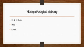 Histopathological staining
• H & E Satin
• PAS
• GMS
 