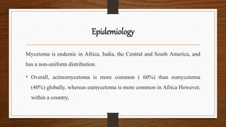 Epidemiology
Mycetoma is endemic in Africa, India, the Central and South America, and
has a non-uniform distribution.
• Overall, actinomycetoma is more common ( 60%) than eumycetoma
(40%) globally, whereas eumycetoma is more common in Africa However,
within a country,
 