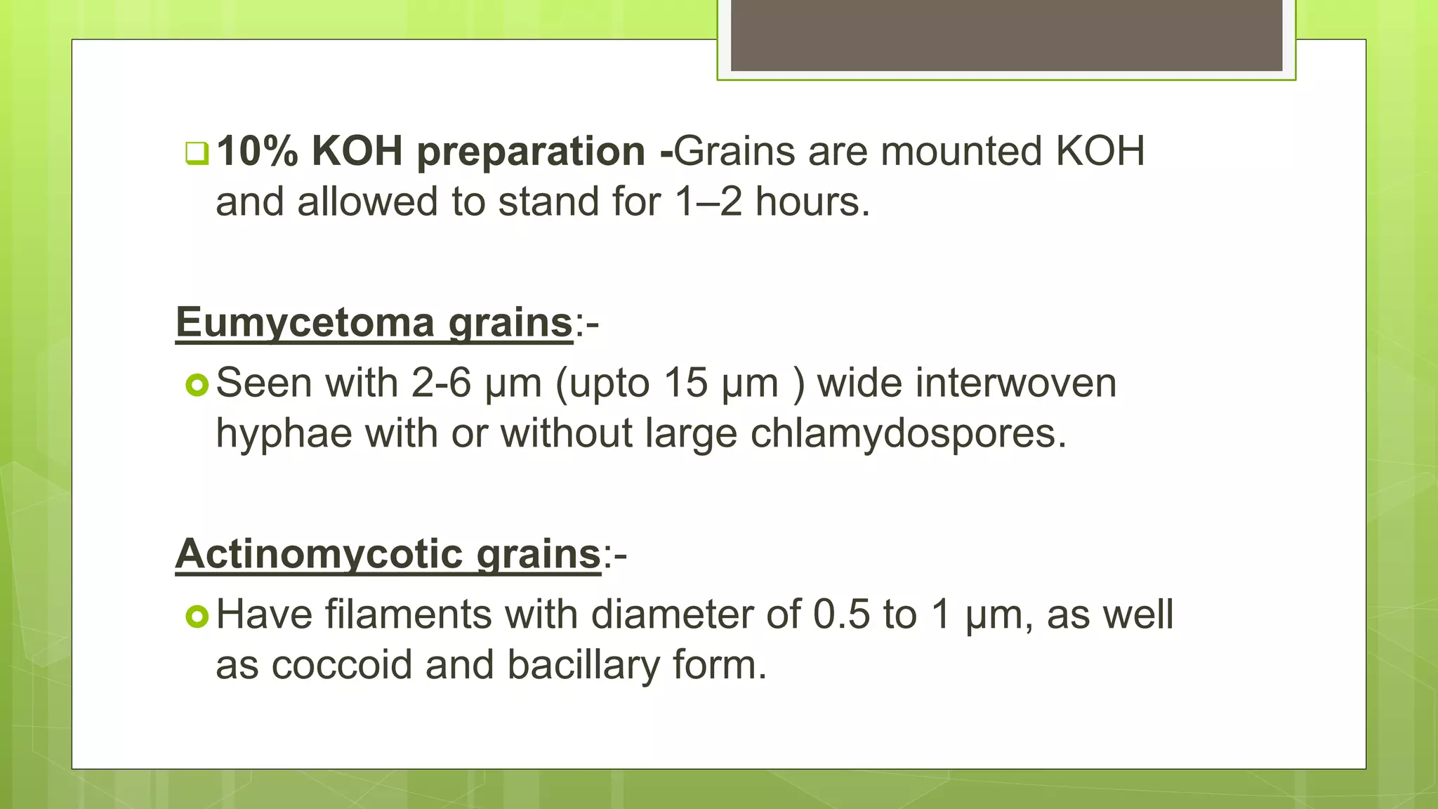 10% KOH preparation -Grains are mounted KOH
and allowed to stand for 1–2 hours.
Eumycetoma grains:-
Seen with 2-6 µm (upto 15 µm ) wide interwoven
hyphae with or without large chlamydospores.
Actinomycotic grains:-
Have filaments with diameter of 0.5 to 1 µm, as well
as coccoid and bacillary form.
 
