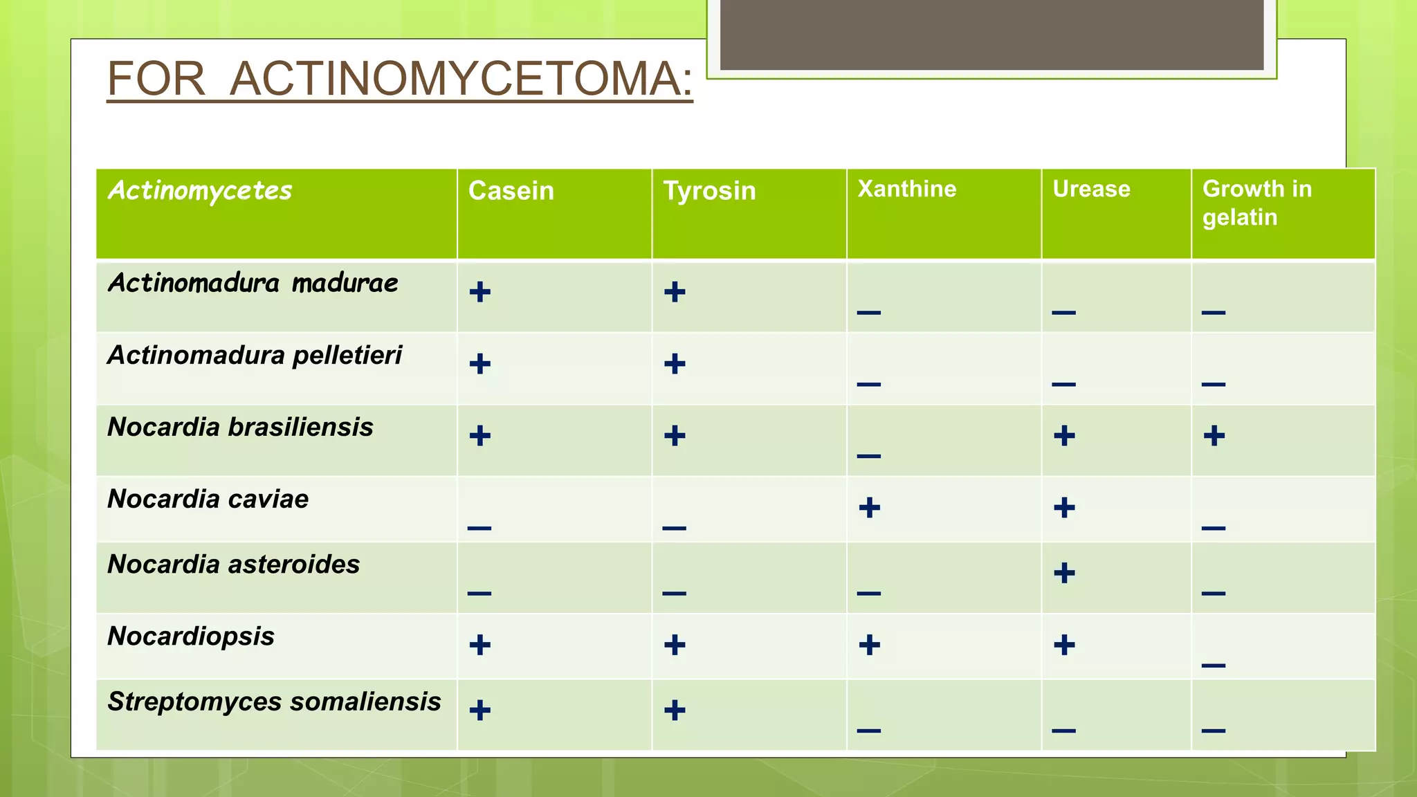 Actinomycetes Casein Tyrosin Xanthine Urease Growth in
gelatin
Actinomadura madurae
+ + _ _ _
Actinomadura pelletieri
+ + _ _ _
Nocardia brasiliensis
+ + _ + +
Nocardia caviae
_ _ + + _
Nocardia asteroides
_ _ _ + _
Nocardiopsis
+ + + + _
Streptomyces somaliensis
+ + _ _ _
FOR ACTINOMYCETOMA:
 