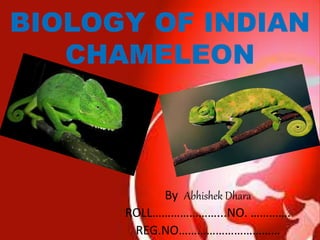 BIOLOGY OF INDIAN
CHAMELEON
By Abhishek Dhara
ROLL…………………...NO. ………….
REG.NO……………………………
 