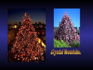 Crystal Mountain הר קריסטלים 