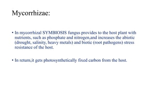Mycorrhizae:
• In mycorrhizal SYMBIOSIS fungus provides to the host plant with
nutrients, such as phosphate and nitrogen,and increases the abiotic
(drought, salinity, heavy metals) and biotic (root pathogens) stress
resistance of the host.
• In return,it gets photosynthetically fixed carbon from the host.
 