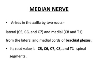 MEDIAN NERVE
• Arises in the axilla by two roots -
lateral (C5, C6, and C7) and medial (C8 and T1)
from the lateral and medial cords of brachial plexus.
• Its root value is C5, C6, C7, C8, and T1 spinal
segments .
 