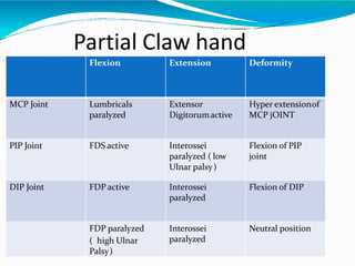 Partial Claw hand
Flexion Extension Deformity
MCP Joint Lumbricals
paralyzed
Extensor
Digitorumactive
Hyper extensionof
MCP jOINT
PIP Joint FDS active Interossei
paralyzed ( low
Ulnar palsy)
Flexion of PIP
joint
DIP Joint FDP active Interossei
paralyzed
Flexion of DIP
FDP paralyzed
( high Ulnar
Palsy)
Interossei
paralyzed
Neutral position
 