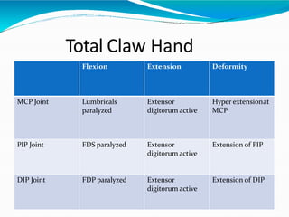 Total Claw Hand
Flexion Extension Deformity
MCP Joint Lumbricals
paralyzed
Extensor
digitorum active
Hyper extensionat
MCP
PIP Joint FDS paralyzed Extensor
digitorum active
Extension of PIP
DIP Joint FDP paralyzed Extensor
digitorum active
Extension of DIP
 