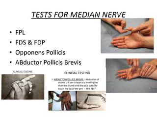 TESTS FOR MEDIAN NERVE
• FPL
• FDS & FDP
• Opponens Pollicis
• ABductor Pollicis Brevis
 