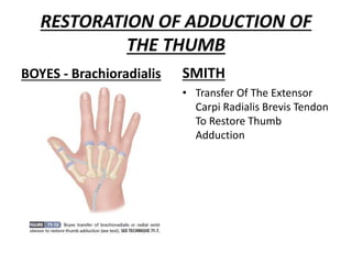 RESTORATION OF ADDUCTION OF
THE THUMB
BOYES - Brachioradialis SMITH
• Transfer Of The Extensor
Carpi Radialis Brevis Tendon
To Restore Thumb
Adduction
 