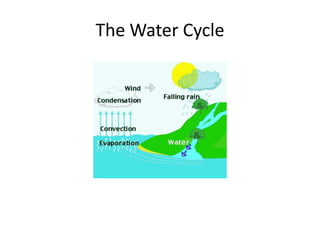 The Water Cycle

 