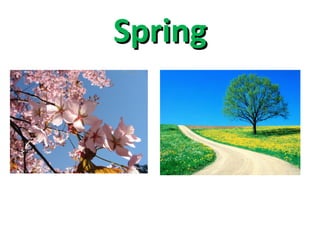 Spring 