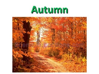 Autumn 