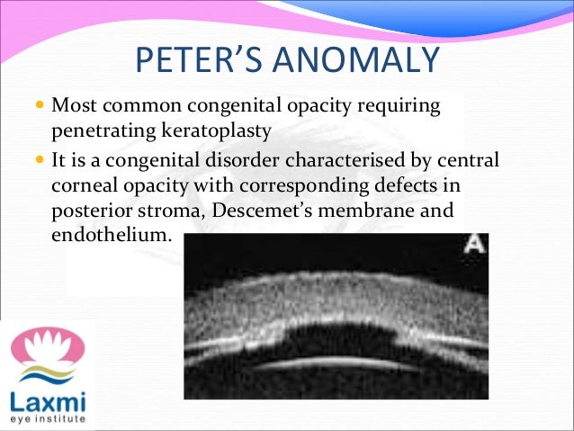 ebook cartilage