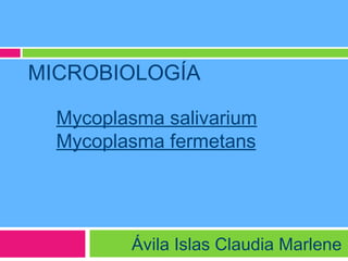 MICROBIOLOGÍA Ávila Islas Claudia Marlene Mycoplasma salivarium Mycoplasma fermetans 